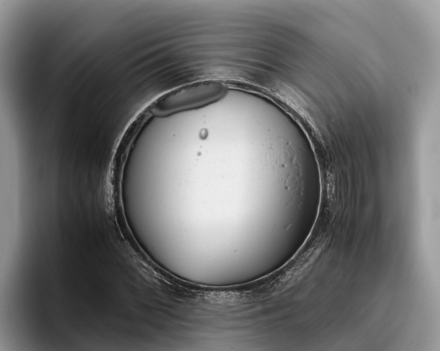 X0000095891068200801181221