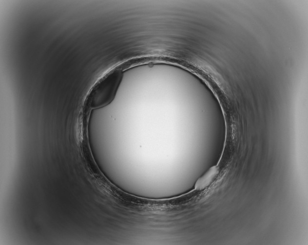 X0000095891069200801181221