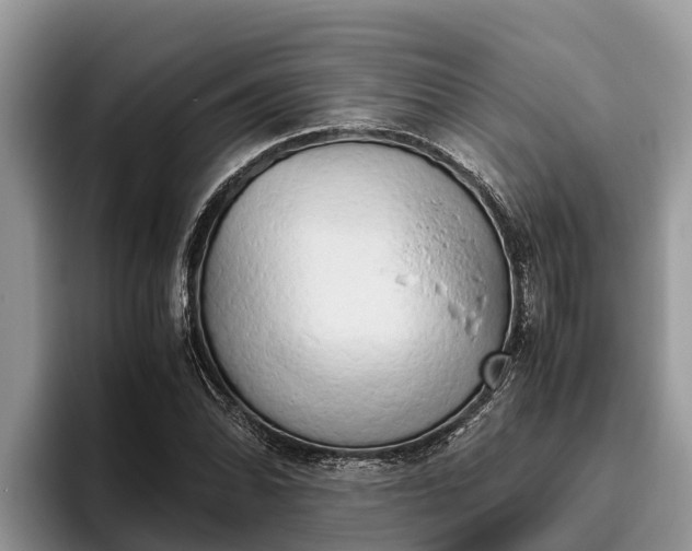 X0000095891070200801181221