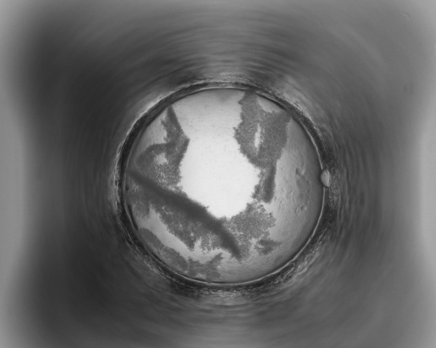 X0000095891071200801181221