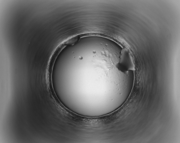 X0000095891072200801181221