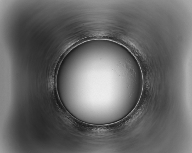 X0000095891073200801181221