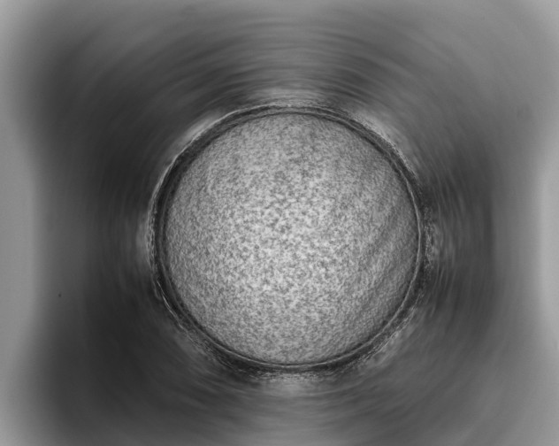 X0000095891074200801181221
