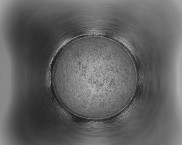 X0000095891075200801181221