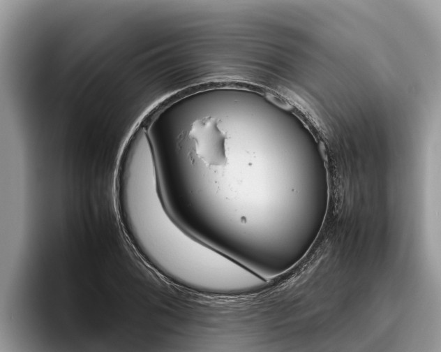X0000095891076200801181221