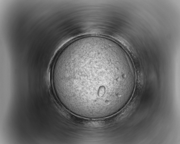 X0000095891078200801181221