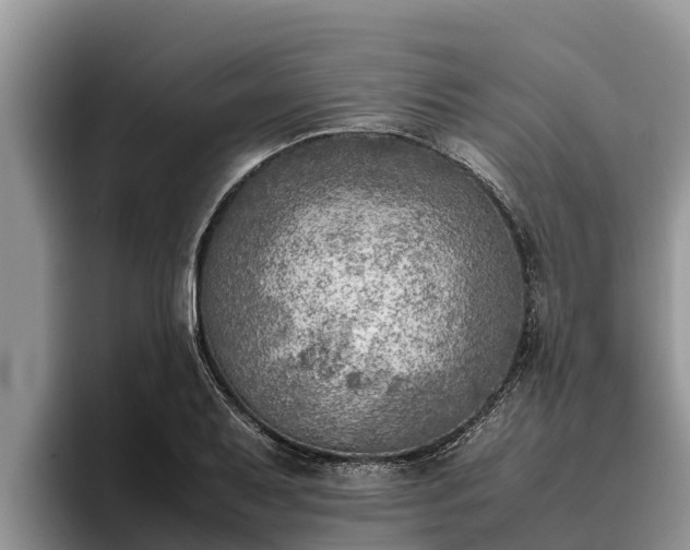 X0000095891079200801181221