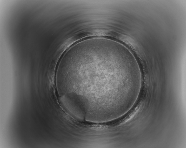 X0000095891081200801181221