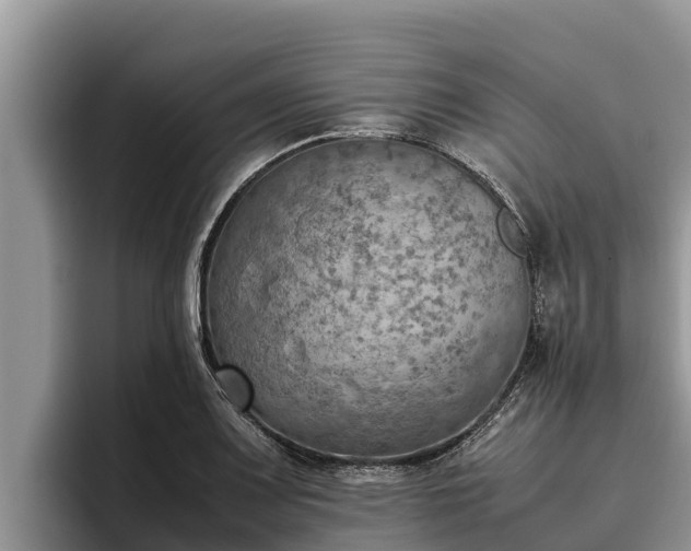 X0000095891083200801181221