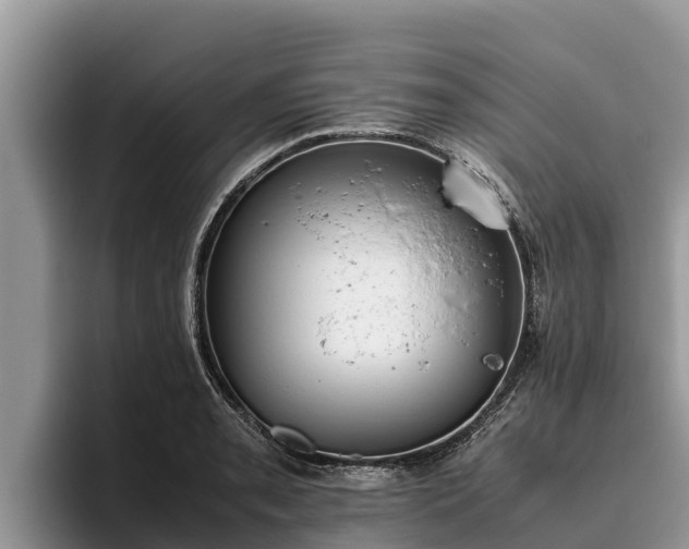 X0000095891085200801181221