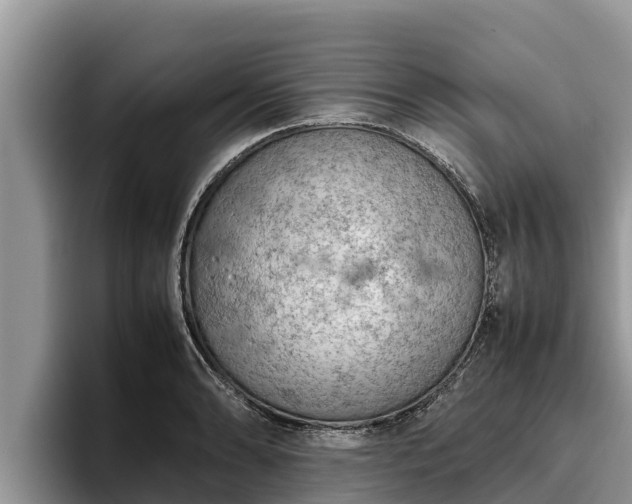 X0000095891086200801181221