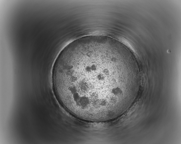 X0000095891087200801181221