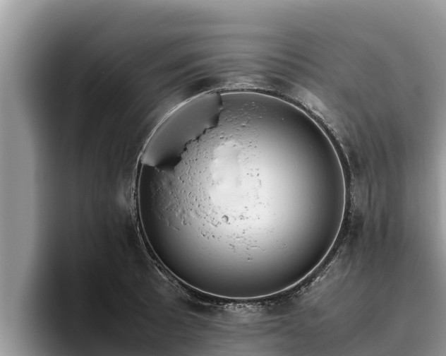 X0000095891089200801181221