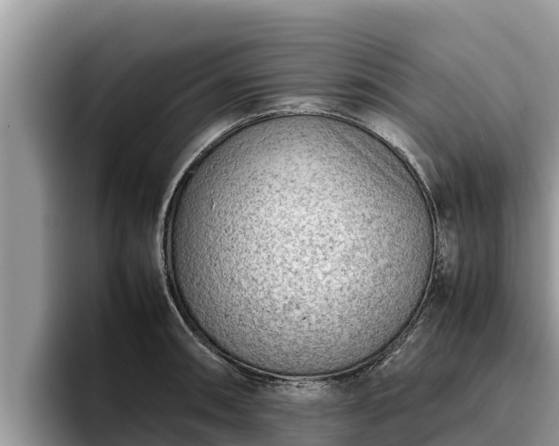 X0000095891090200801181221