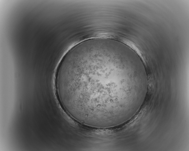 X0000095891091200801181221