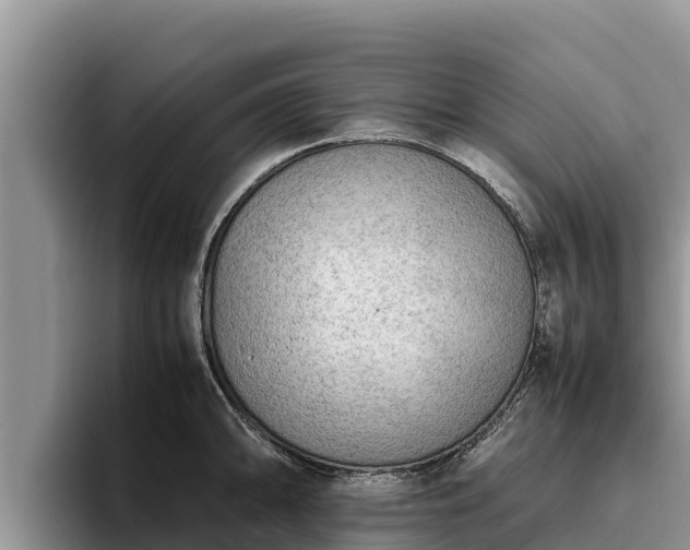 X0000095891094200801181221