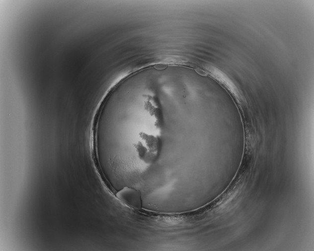 X0000095891095200801181221