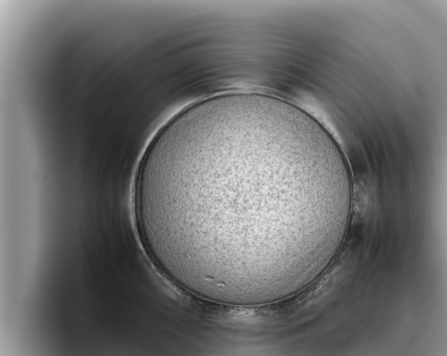 X0000095891098200801181221