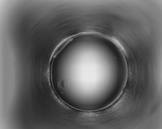X0000095891100200801181220