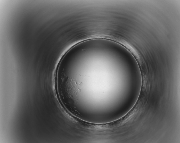 X0000095891102200801181220