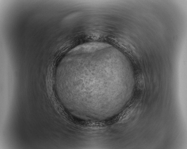 X0000095891105200801181220