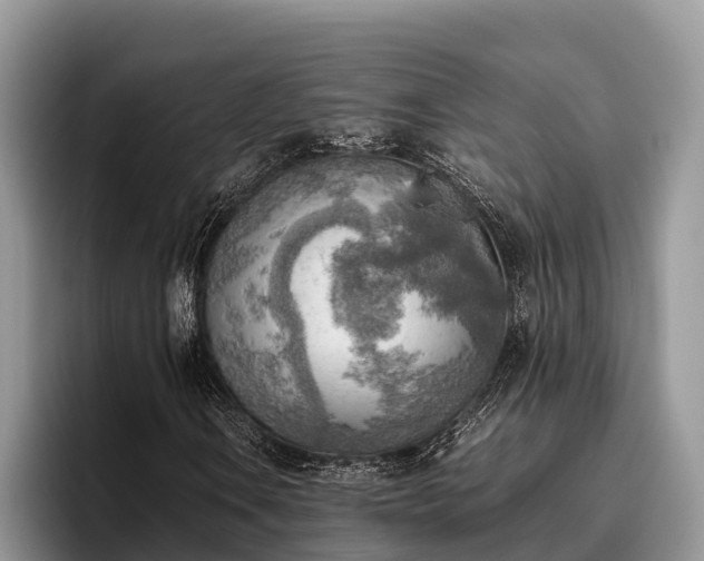 X0000095891106200801181220