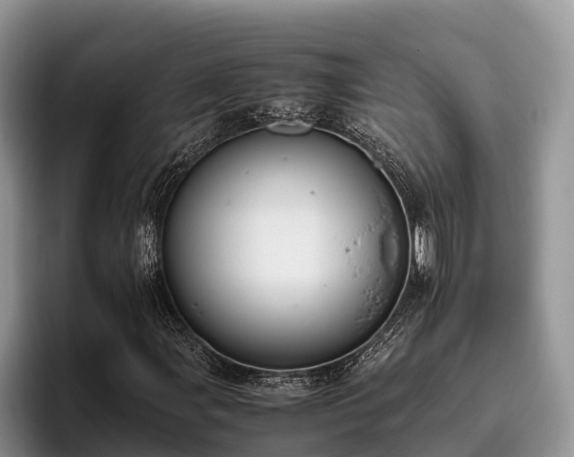 X0000095891107200801181220