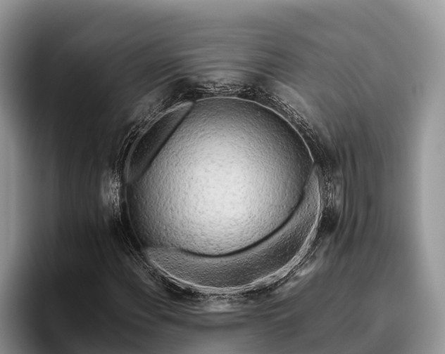 X0000095891108200801181220