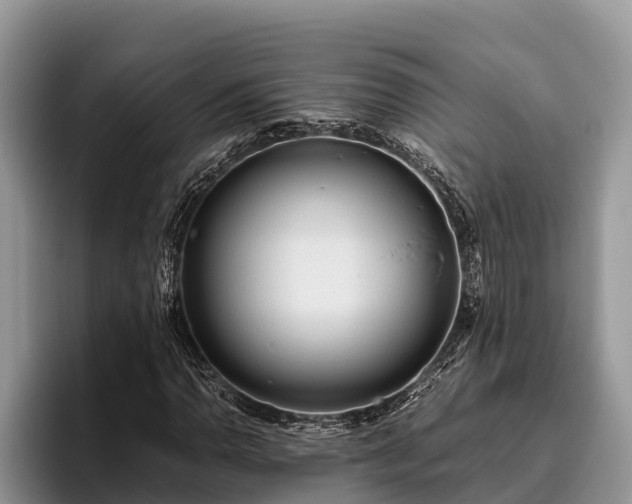 X0000095891110200801181220