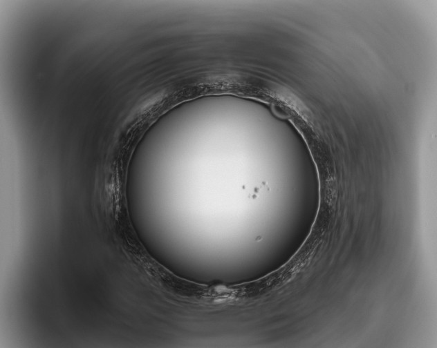 X0000095891111200801181220