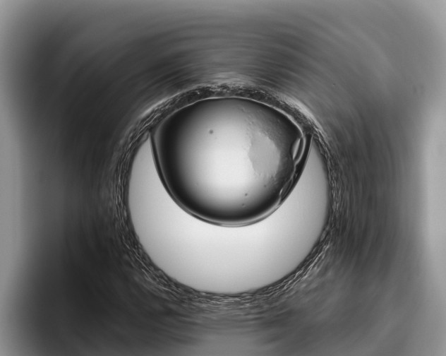 X0000095891112200801181220