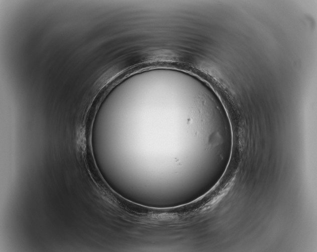 X0000095891113200801181220