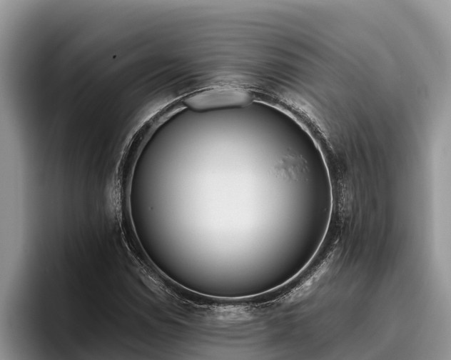 X0000095891114200801181220