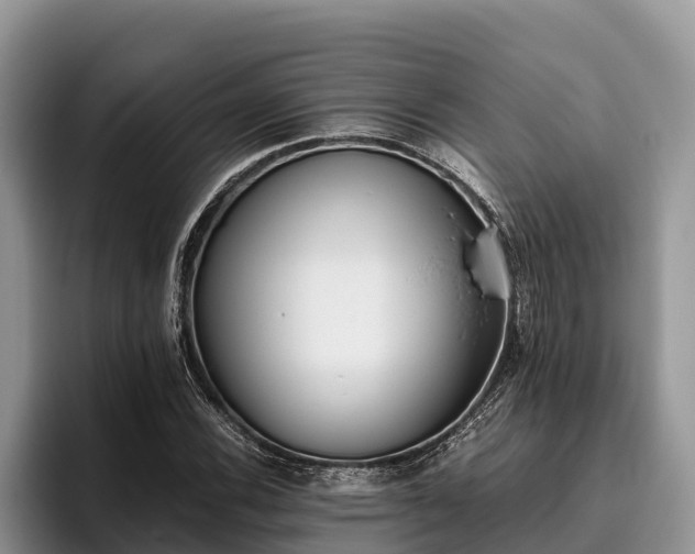 X0000095891116200801181220