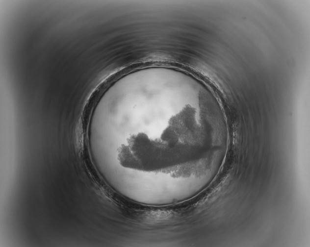 X0000095891117200801181220