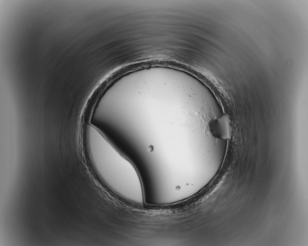 X0000095891118200801181220