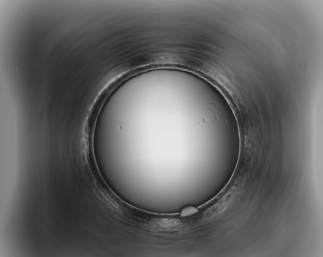 X0000095891119200801181220