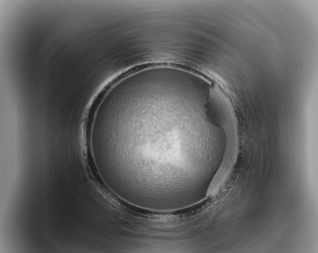 X0000095891120200801181220