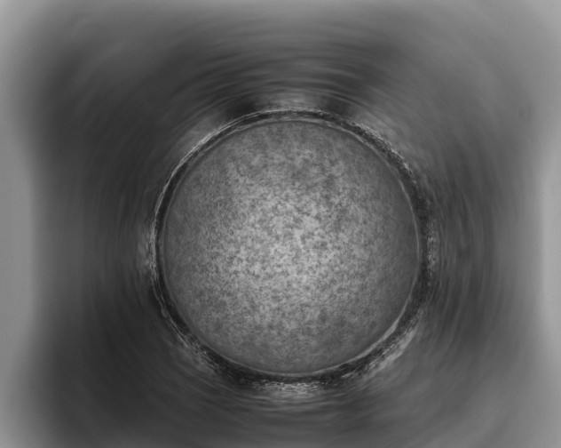 X0000095891121200801181220