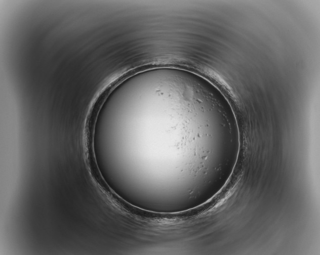 X0000095891122200801181220