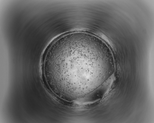 X0000095891124200801181220