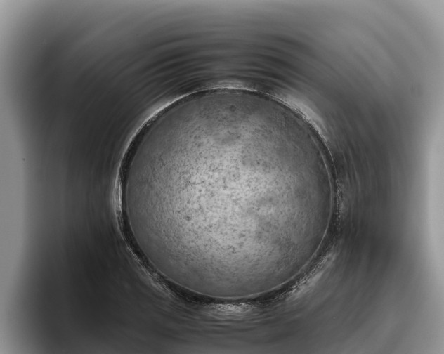 X0000095891125200801181220