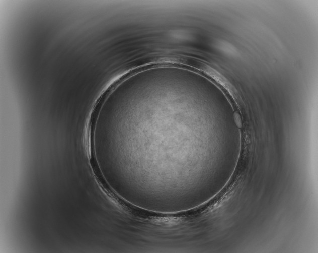 X0000095891127200801181220