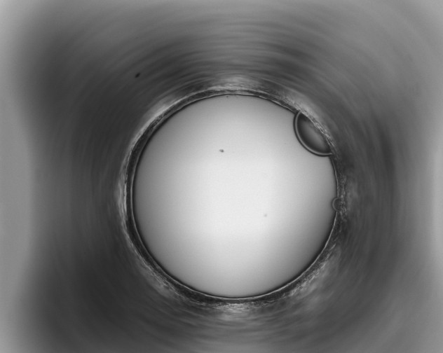 X0000095891130200801181220
