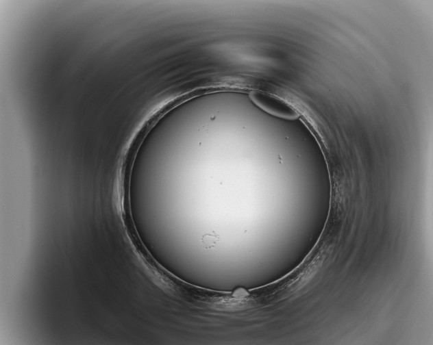 X0000095891131200801181220