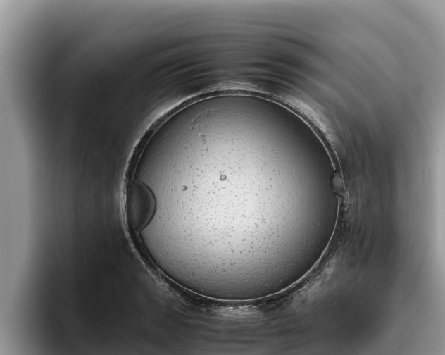 X0000095891133200801181220