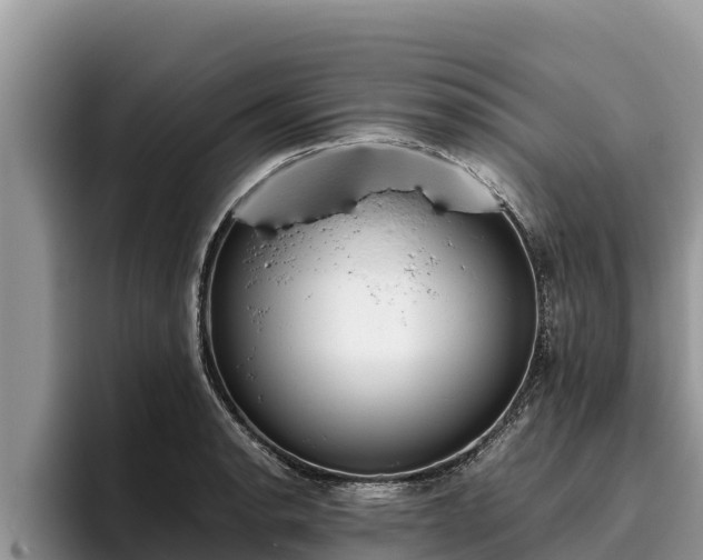 X0000095891134200801181220