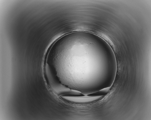 X0000095891138200801181220