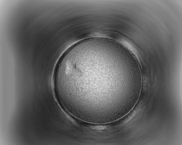 X0000095891141200801181220