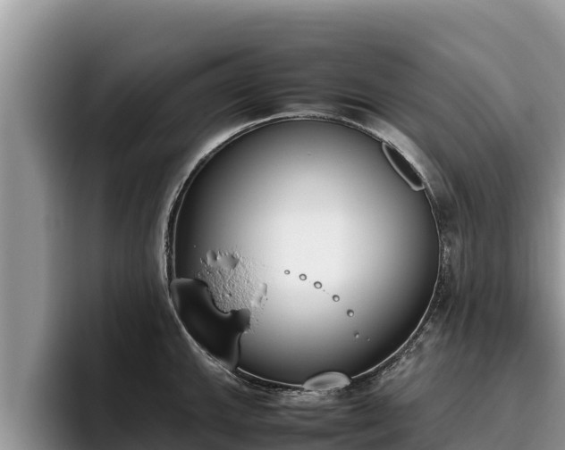 X0000095891143200801181220